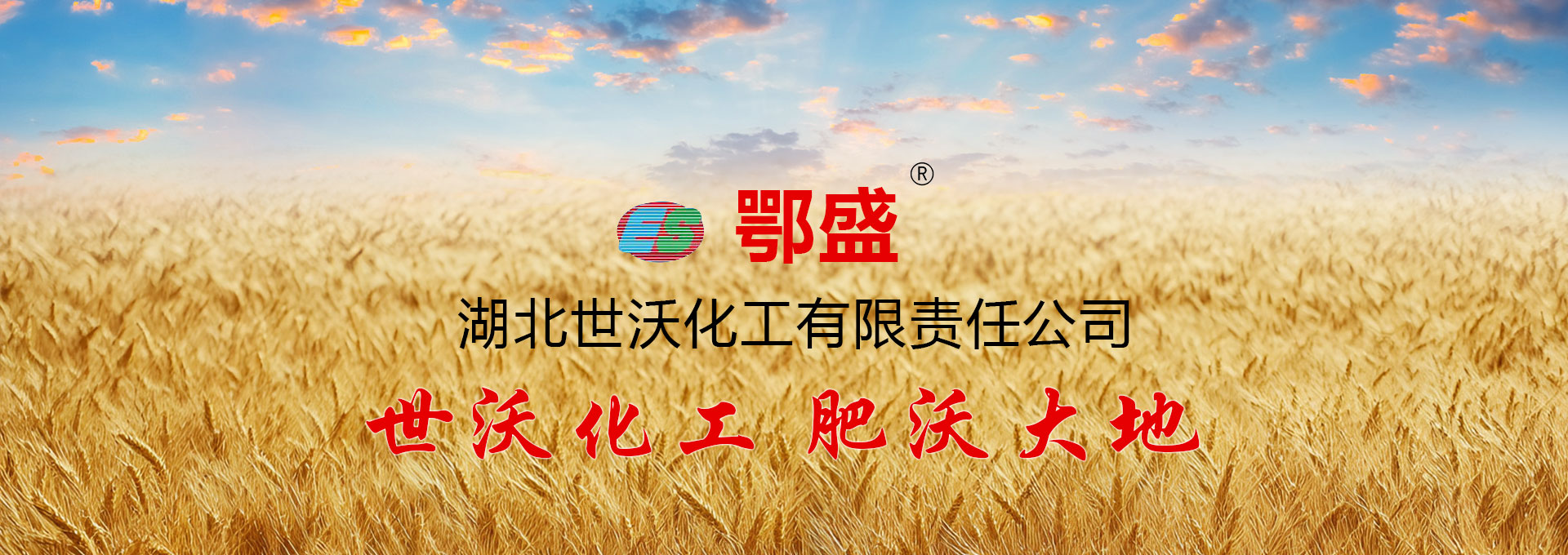 湖北世沃化工有限责任公司