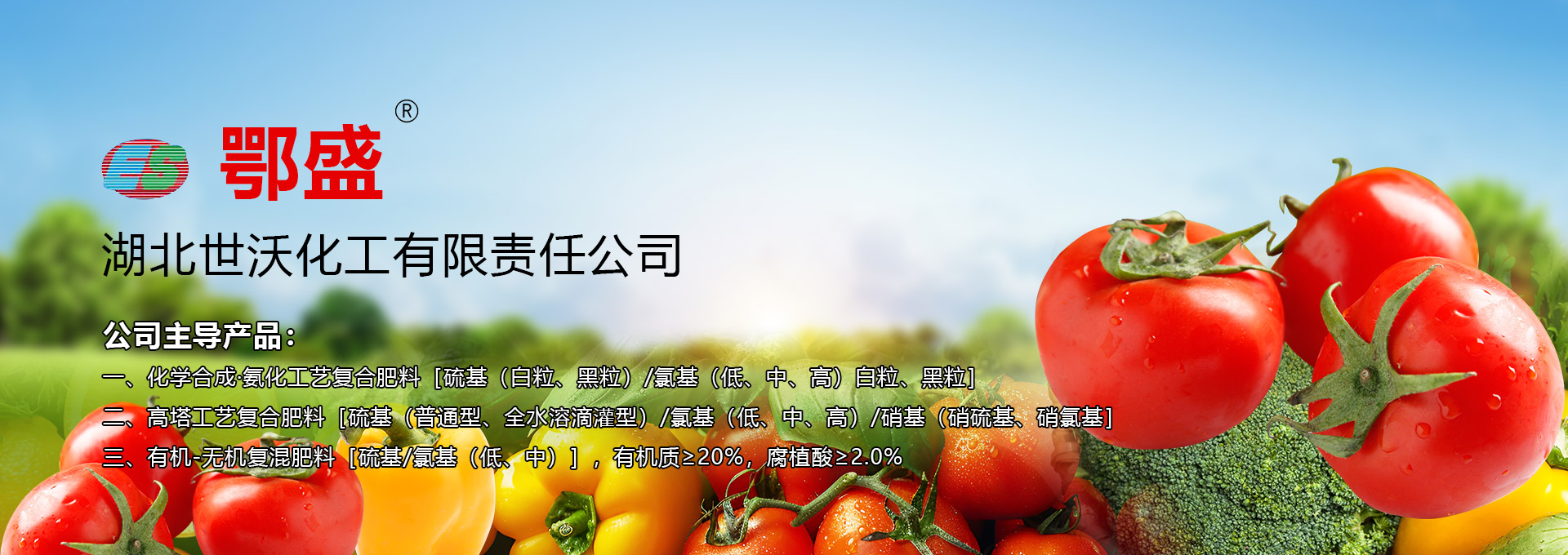 湖北世沃化工有限责任公司