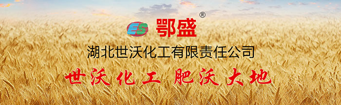 公司简介