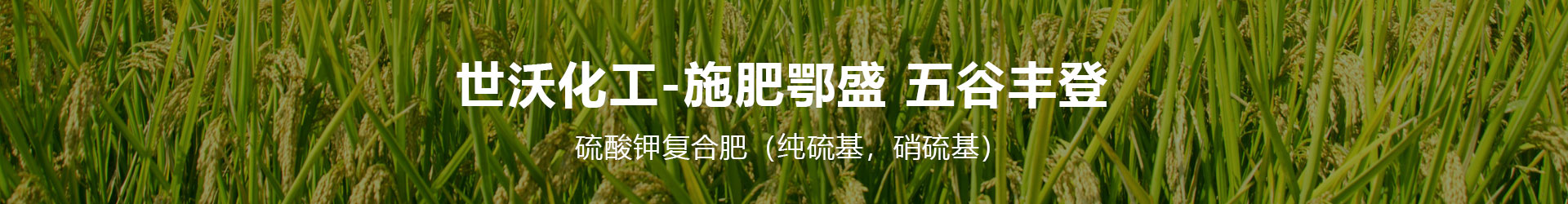 湖北世沃化工有限责任公司